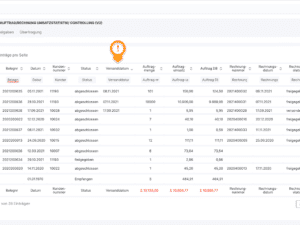 Xentral Report: Auftrag/Rechnung Umsatzstatistik (Controlling)